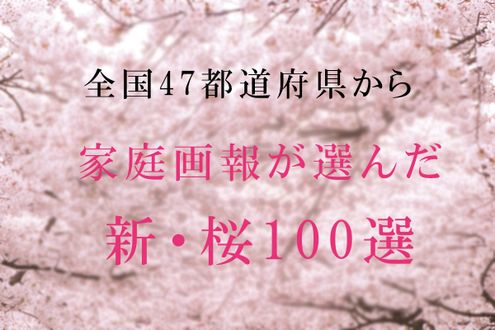 全国47都道府県から家庭画報が選んだ、新・桜100選【マップ付き】