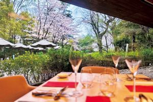 満開の桜がもてなすガーデンレストラン。白金台のテイエンレストラン コモド