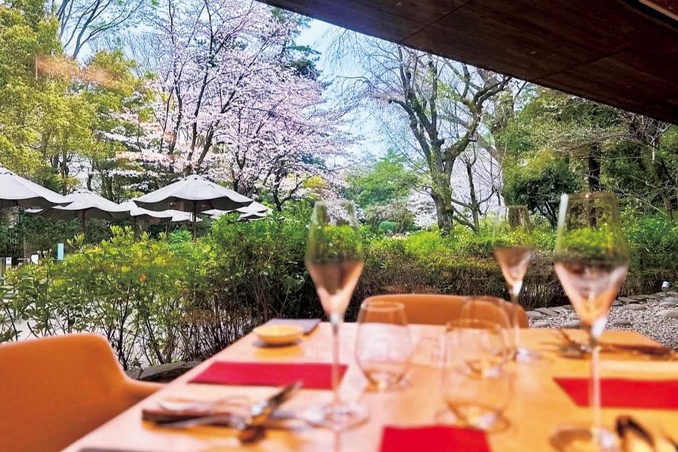 満開の桜がもてなすガーデンレストラン。白金台のテイエンレストラン コモド