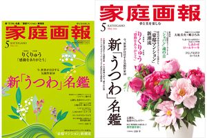 【4/1発売】『家庭画報』　2026年5月号　新「うつわ」名鑑／郷ひろみ×大地真央「人生ますます絶好調」