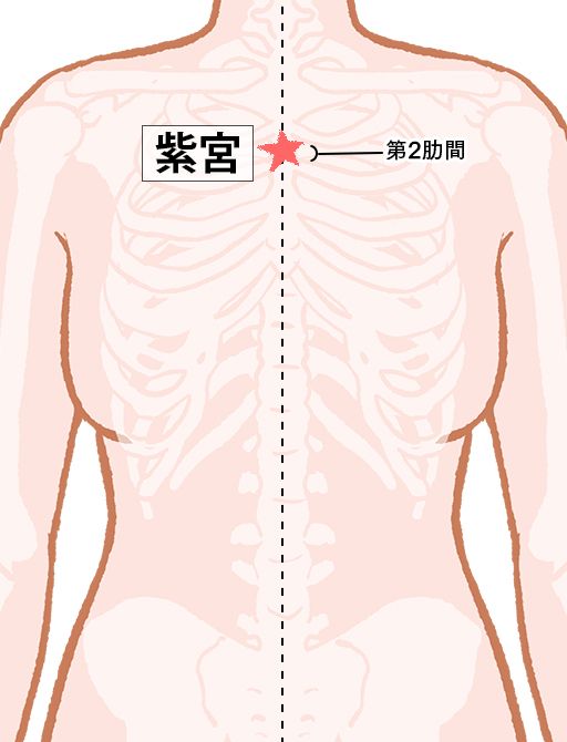 紫宮（しきゅう）：任脈のツボ