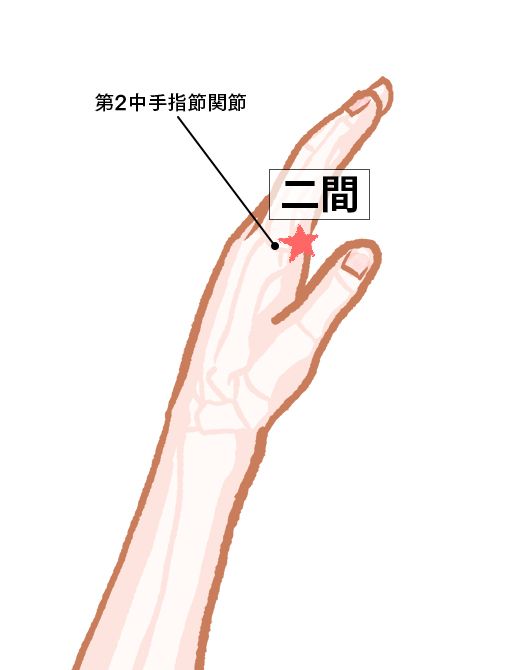 二間（じかん）：大腸経のツボ