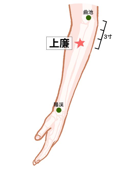 上廉（じょうれん）：大腸経のツボ