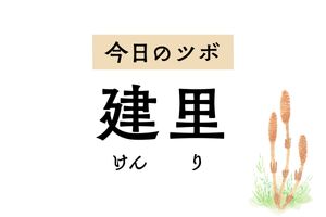 胃痛、吐き気、食欲不振に効くツボ「建里」。むくみが気になるときにもおすすめ