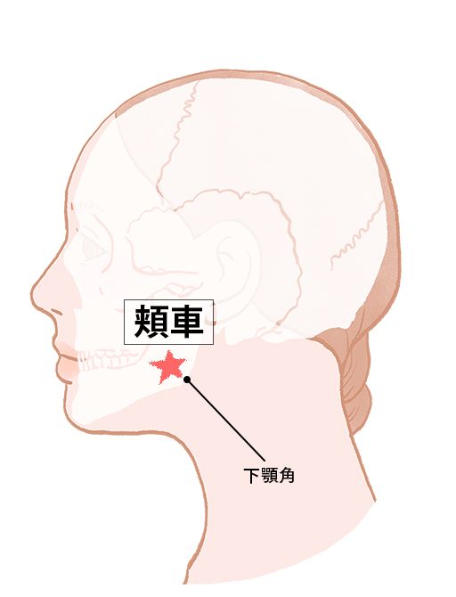 頬車（きょうしゃ）：胃経のツボ