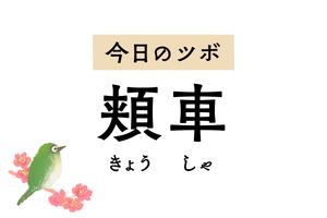 歯痛や頬の腫れを緩和する「頬車」。口や目のゆがみ、三叉神経痛の治療にも用います