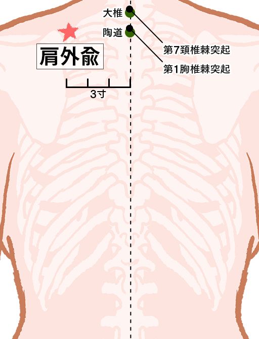 肩外兪（けんがいゆ）：小腸経