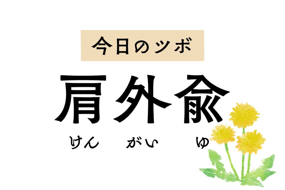 肩こり、首のこわばり、五十肩をラクにする「肩外兪」には筋を緩めて伸ばす作用あり