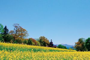 夏井いつきさん4月のエッセイ　季語“春風” 【連載「季語に親しむ」】