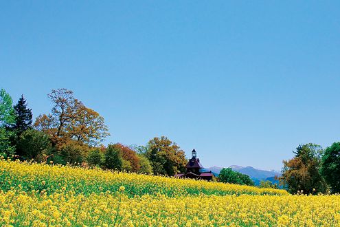 夏井いつきさん4月のエッセイ　季語“春風” 【連載「季語に親しむ」】