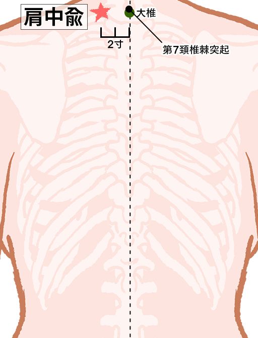 肩中兪（けんちゅうゆ）：小腸経