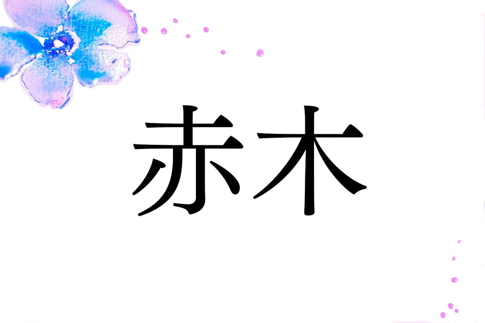 名字「赤木」の由来は？戦国大名の毛利氏も関係しています