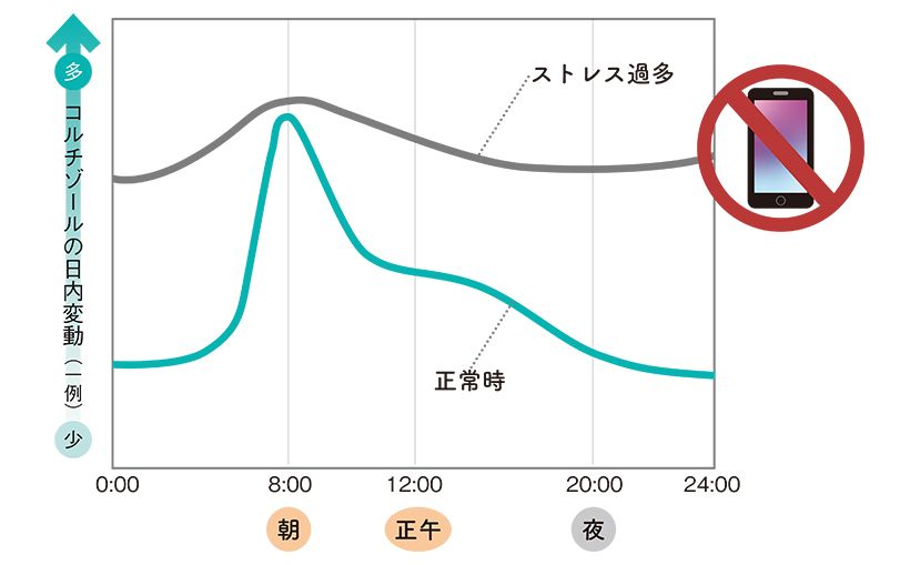 コルチゾールの正常分泌のため、夜はスマホを手放してストレスを減らして。