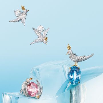 ［ティファニー］2つのラインでバードを楽しむ 躍動する翼に夢をのせて