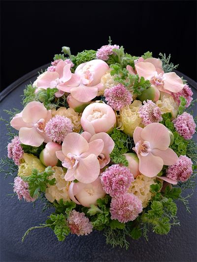 京都から下関へ、お世話になった友人に花にのせて感謝の気持ちを贈ります。フリフリスカビオサの‘ハルル’に、淡いピンクのファレノプシス‘アンティーク’を合わせ、優しさが伝わる花色合わせにしました。ほかに、シャクヤク‘ミルキーホワイト’、リシアンサス‘NFレモン’、アジサイ‘エメラルド’などを使い、グリーンワッフルゼラニウムをあしらいました。