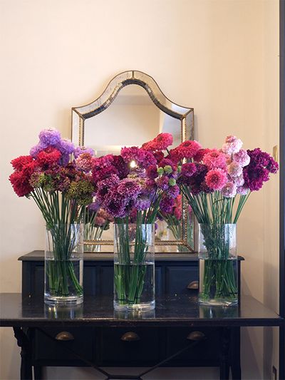 今年2月に寺尾さんご夫妻がサンプルを届けに広島の私の店まで来てくださいました。花色、花サイズ、花形、寺尾さんのスカビオサはこんなにバリエーションが豊か。まさに贈り花の主役をはれるスカビオサです