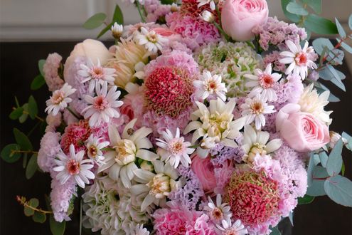 心がときめく4月の贈り花　フラワーガーデン寺尾さんの「スカビオサ」が紡ぐ春のストーリー