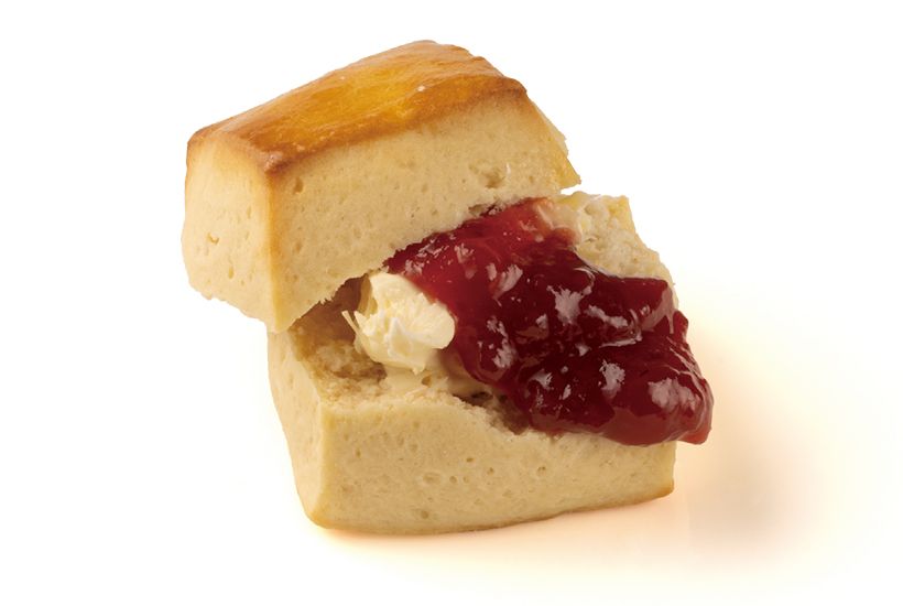 アフタヌーンティーには欠かせ ないスコーン。今回のメニュー では、たっぷりのいちごジャム とクロテッドクリームが、プ レーンスコーンのしっとりした 風味を引き立てます。