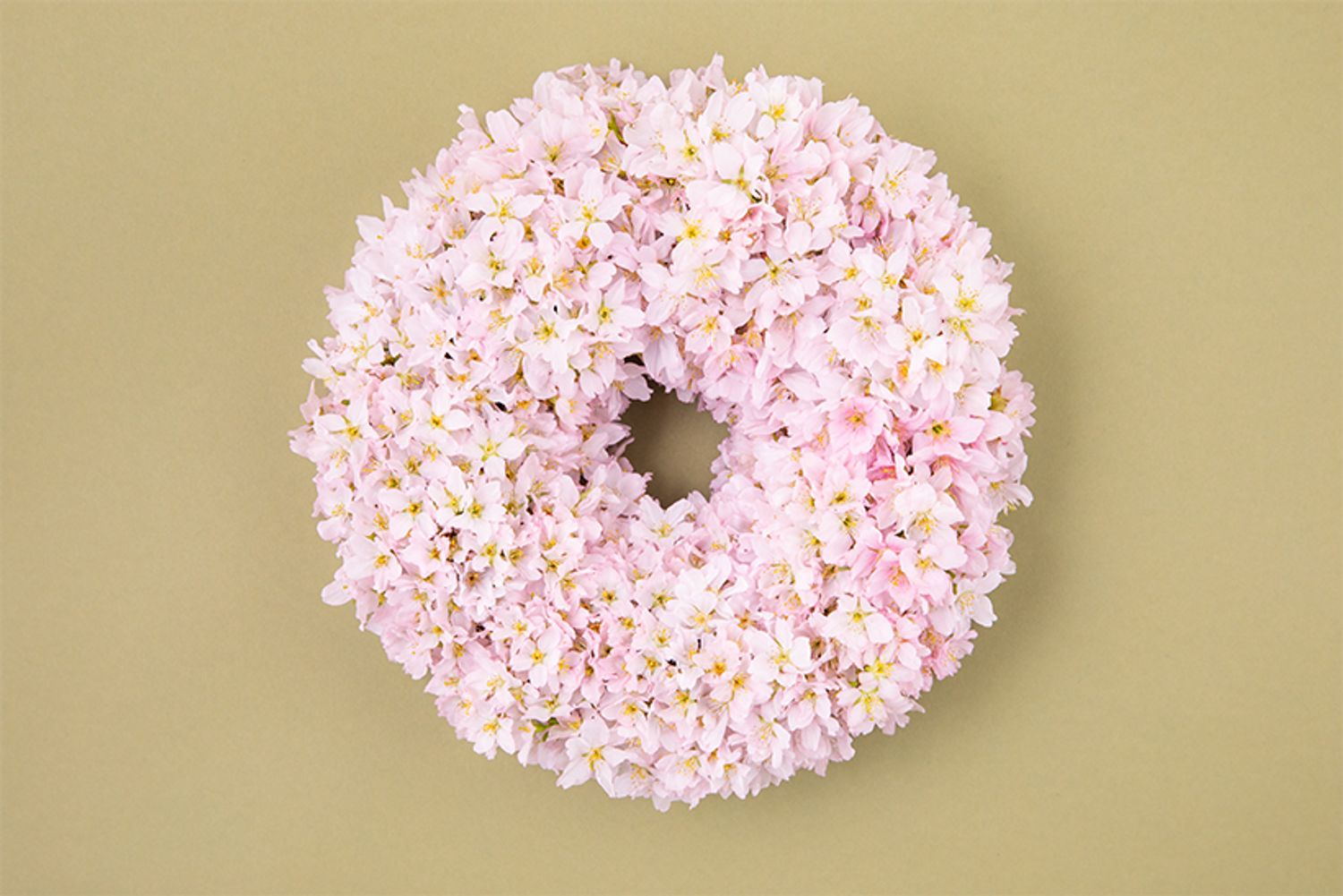 ヒガンザクラとケイオウザクラの２種のサクラだけを贅沢に使った、「満開の桜」という春の景色を表現したリース。淡いピンクのケイオウザクラを基調に、バランスを見ながら白にほど近いヒガンザクラを散らし、色合いの異なる花を組み合わせ、咲き乱れる様を演出しています。