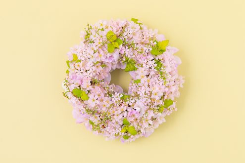 サクラとグリーンで描く季節のひととき。春の風をまとったフラワーリース