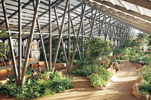 【千葉】大多喜有用植物苑　東洋の“有用植物”を見て、嗅いで、味わう