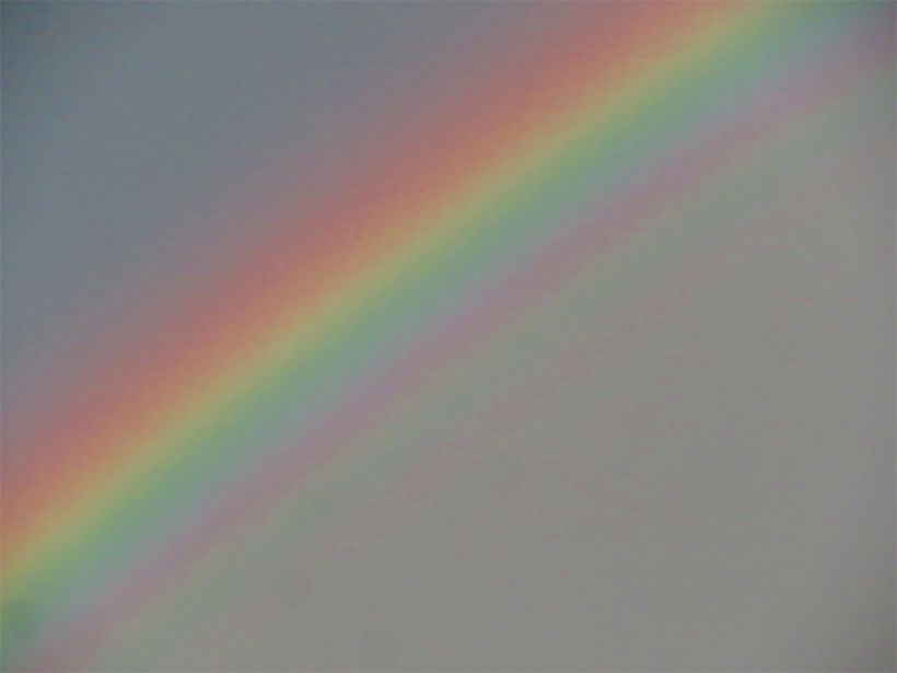 写真／荒木健太郎