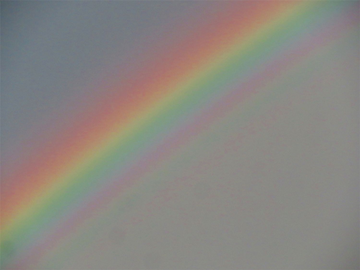 写真／荒木健太郎