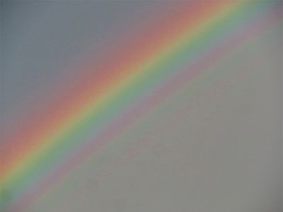 写真／荒木健太郎