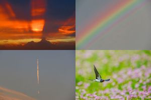 【人気記事BEST5】未知の魅力が広がる空の世界へ。連載「空を見上げて365」で3月に読まれた記事まとめ