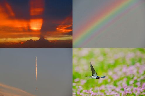 【人気記事BEST5】未知の魅力が広がる空の世界へ。連載「空を見上げて365」で3月に読まれた記事まとめ