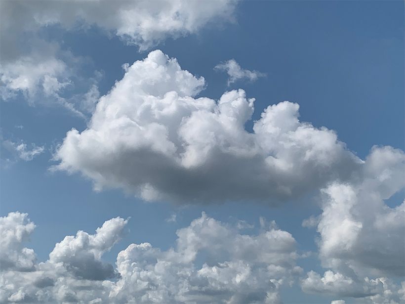 写真／荒木健太郎