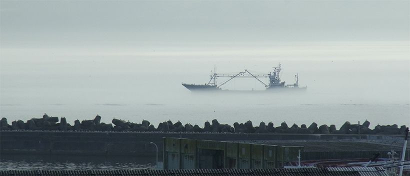 写真／荒木健太郎