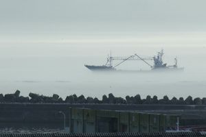 春から夏にかけてよく見られる「海霧」。月の半分以上で霧が現れる地域も