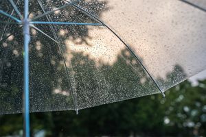 降水確率が何％で傘がいる？　数値が示す正しい意味と、迷ったときの判断に役立つ情報