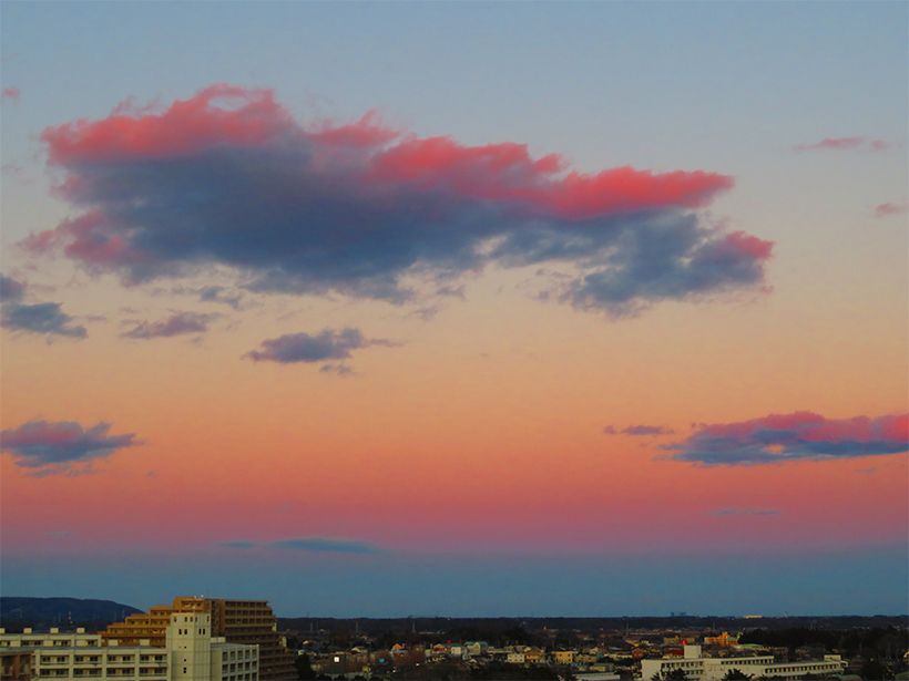 写真／荒木健太郎