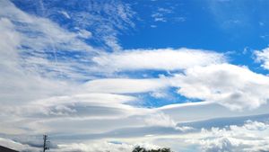 雲にも生物の分類と同じように「種」がある。奥深い雲の世界