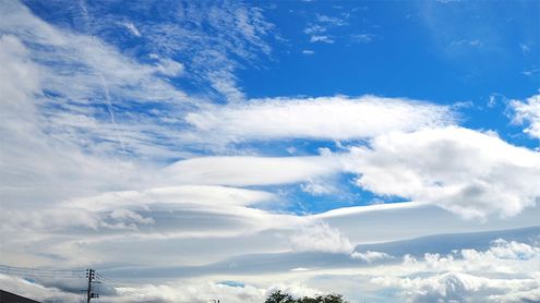 雲にも生物の分類と同じように「種」がある。奥深い雲の世界