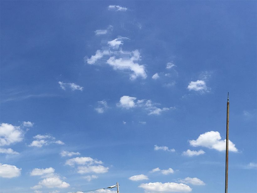 写真／荒木健太郎