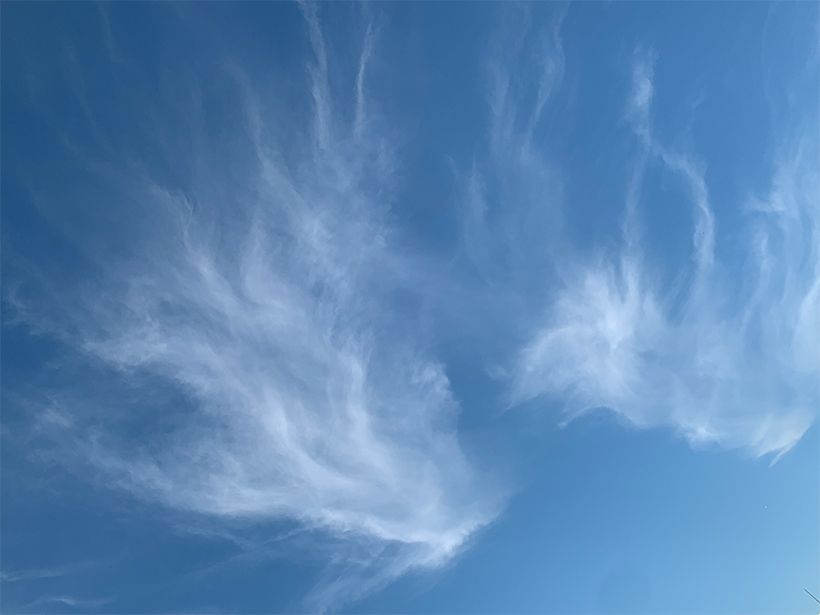 写真／荒木健太郎