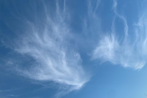 雲を初めて分類したのはアマチュアの雲愛好家。芸術の世界にも影響を与えた雲の名付け親