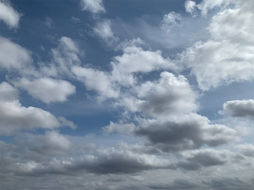 写真／荒木健太郎