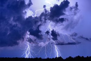 雷雨のときに木の下で雨宿りをしてはいけない理由。突然の雷にどう備える？