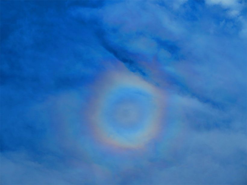 写真／荒木健太郎