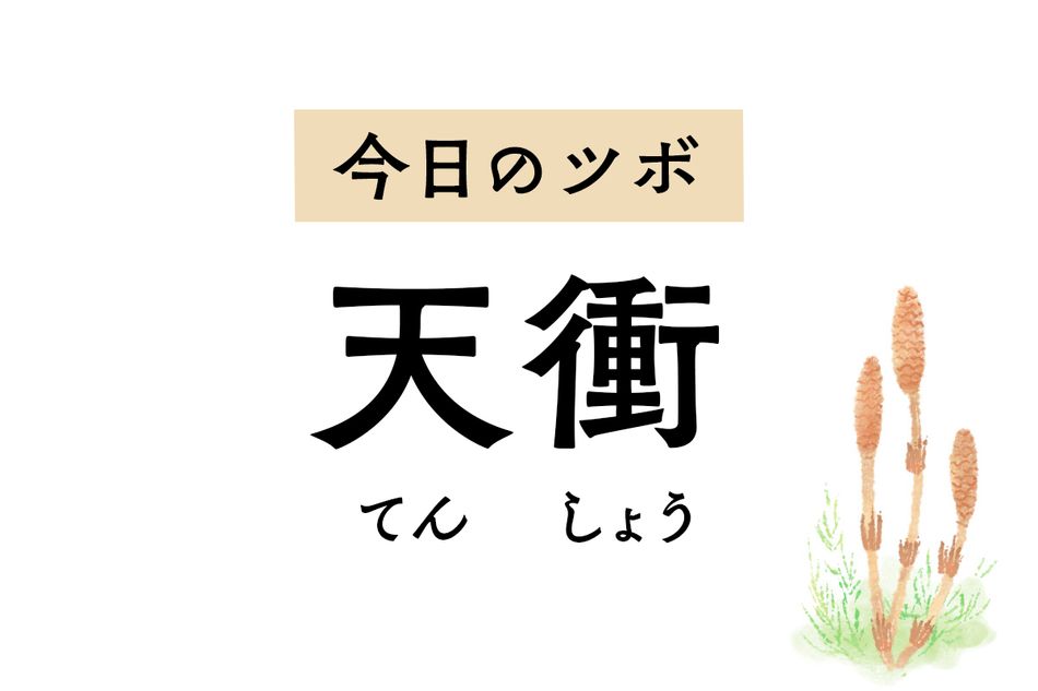 片頭痛や耳鳴りのほか、歯肉の腫れや痛みを和らげる「天衝」。心を静める作用も