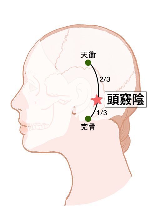 頭竅陰：（あたまきょういん）：胆経のツボ