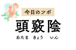 「頭竅陰」は頭痛のほか、めまい、耳鳴り、難聴、耳の痛みなど頭部の不調を治療するツボ
