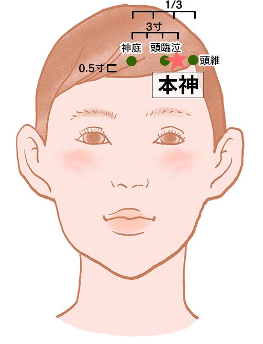 本神（ほんじん）：胆経のツボ