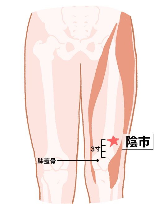 陰市（いんし）：胃経のツボ