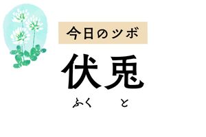 なぜ「兎」なの？太ももや膝の冷えを緩和して足の痛みや麻痺にも作用する「伏兎」。