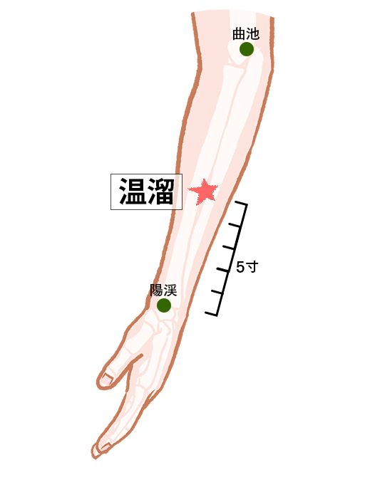 温溜（おんる）：大腸経のツボ